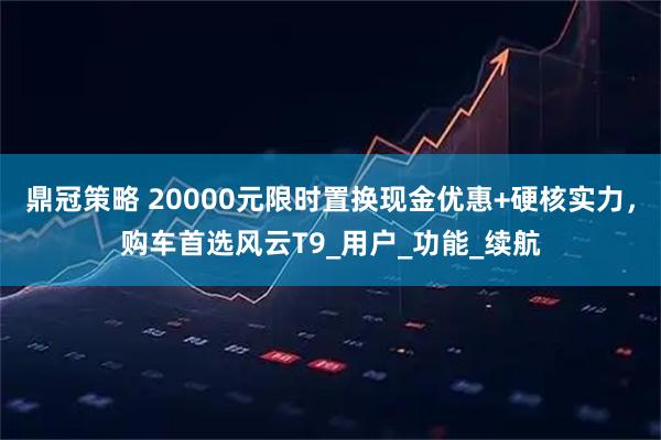 鼎冠策略 20000元限时置换现金优惠+硬核实力，购车首选风云T9_用户_功能_续航