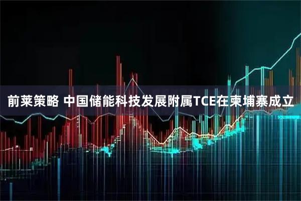 前莱策略 中国储能科技发展附属TCE在柬埔寨成立