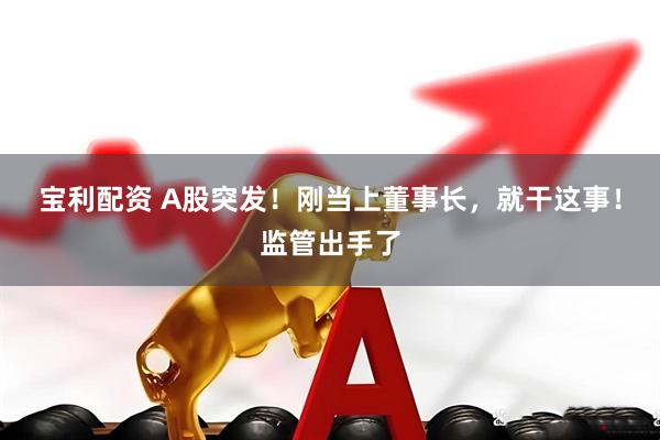 宝利配资 A股突发！刚当上董事长，就干这事！监管出手了