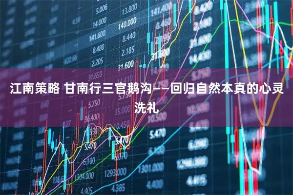 江南策略 甘南行三官鹅沟——回归自然本真的心灵洗礼
