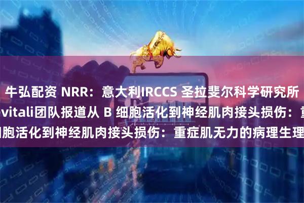 牛弘配资 NRR：意大利IRCCS 圣拉斐尔科学研究所Stefano Carlo Previtali团队报道从 B 细胞活化到神经肌肉接头损伤：重症肌无力的病理生理学变化