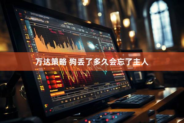 万达策略 狗丢了多久会忘了主人